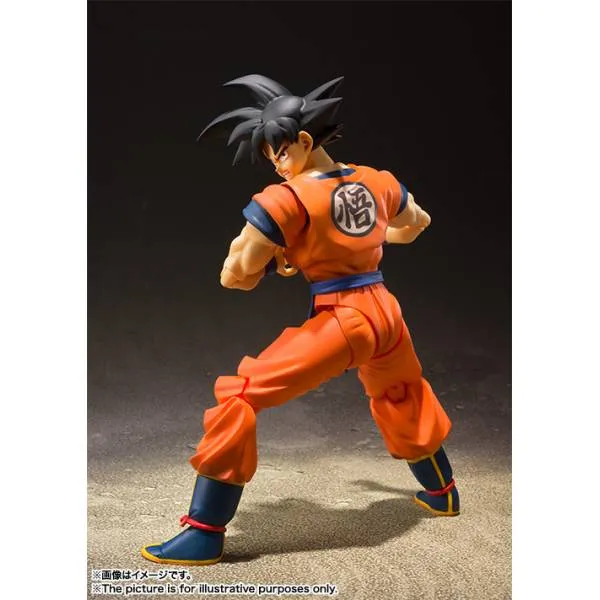 SH-Figuarts-Dragon-Ball-Z-Son-Goku-A-saiyan-raised-on-Earth-PERU-10