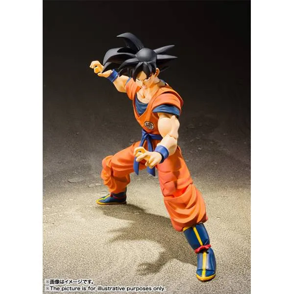 SH-Figuarts-Dragon-Ball-Z-Son-Goku-A-saiyan-raised-on-Earth-PERU-7