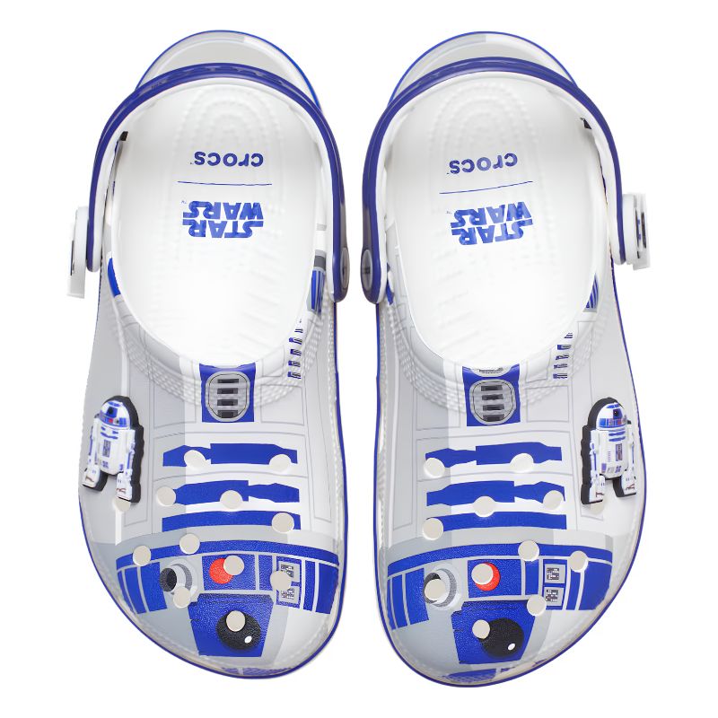 r2-1.jpg